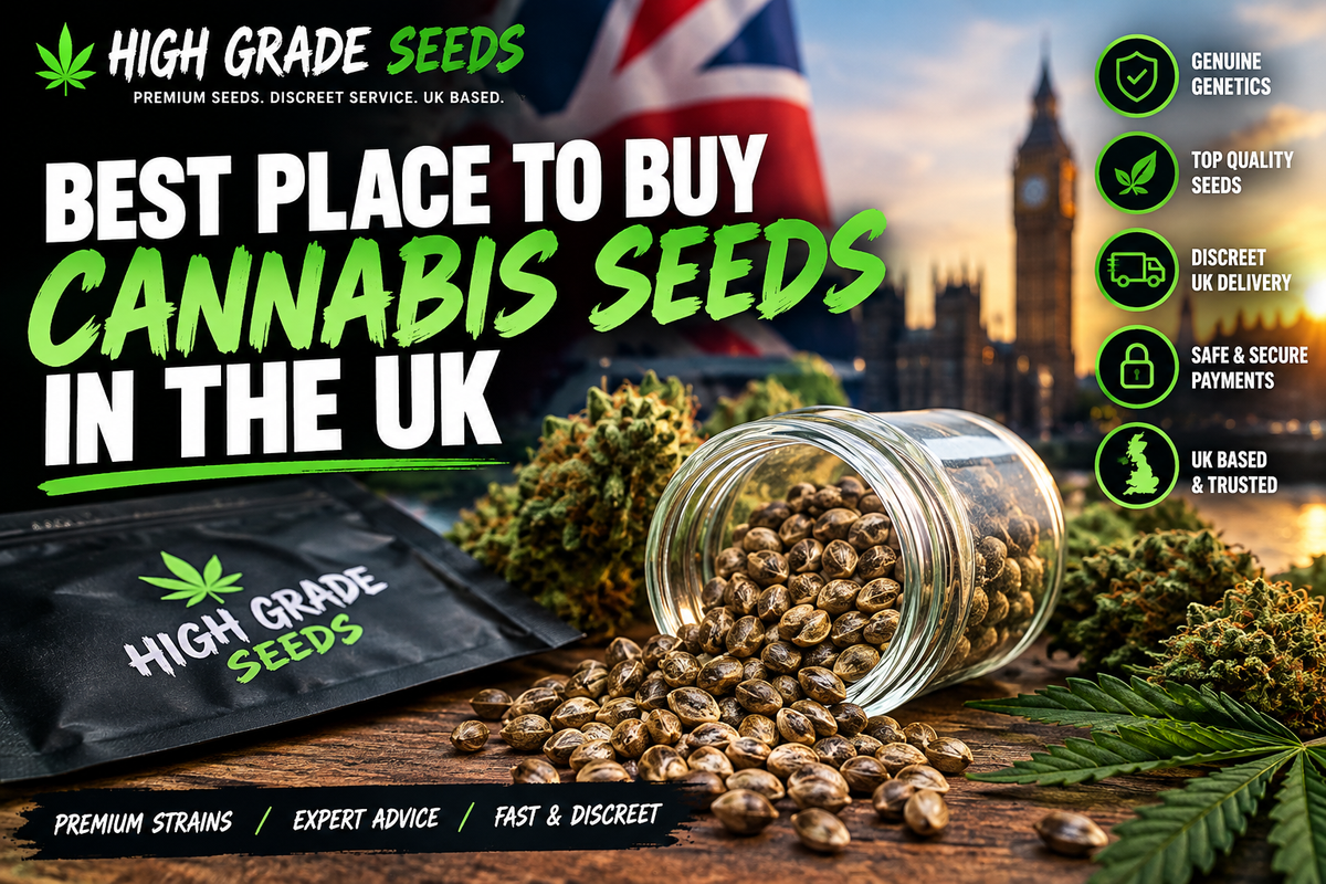 Best Place To Buy Cannabis Seeds in the UK