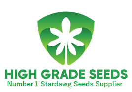 Buy High Grade Seeds Chocolate Stardawg Cannabis Seeds UK